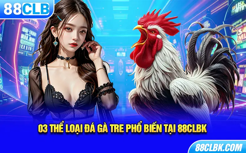 03 thể loại đá gà Tre phổ biến tại 88CLBK