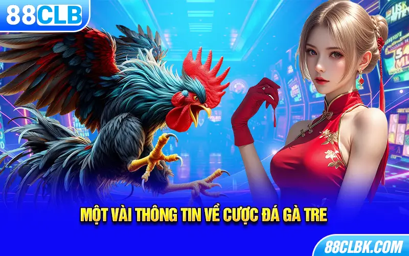 Một vài thông tin về cược đá gà Tre