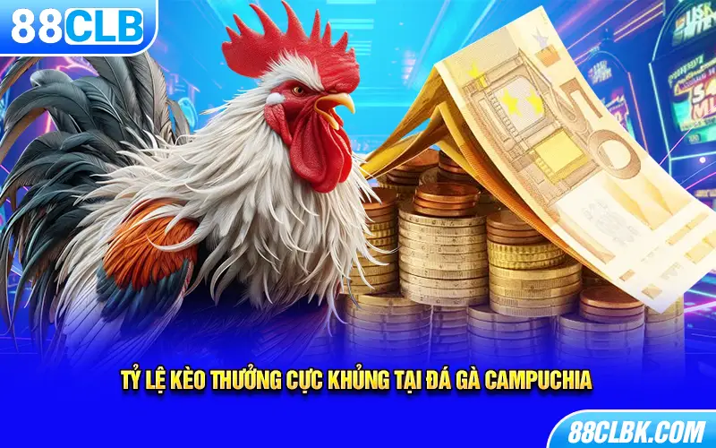 Tỷ lệ kèo thưởng cực khủng tại đá gà Campuchia